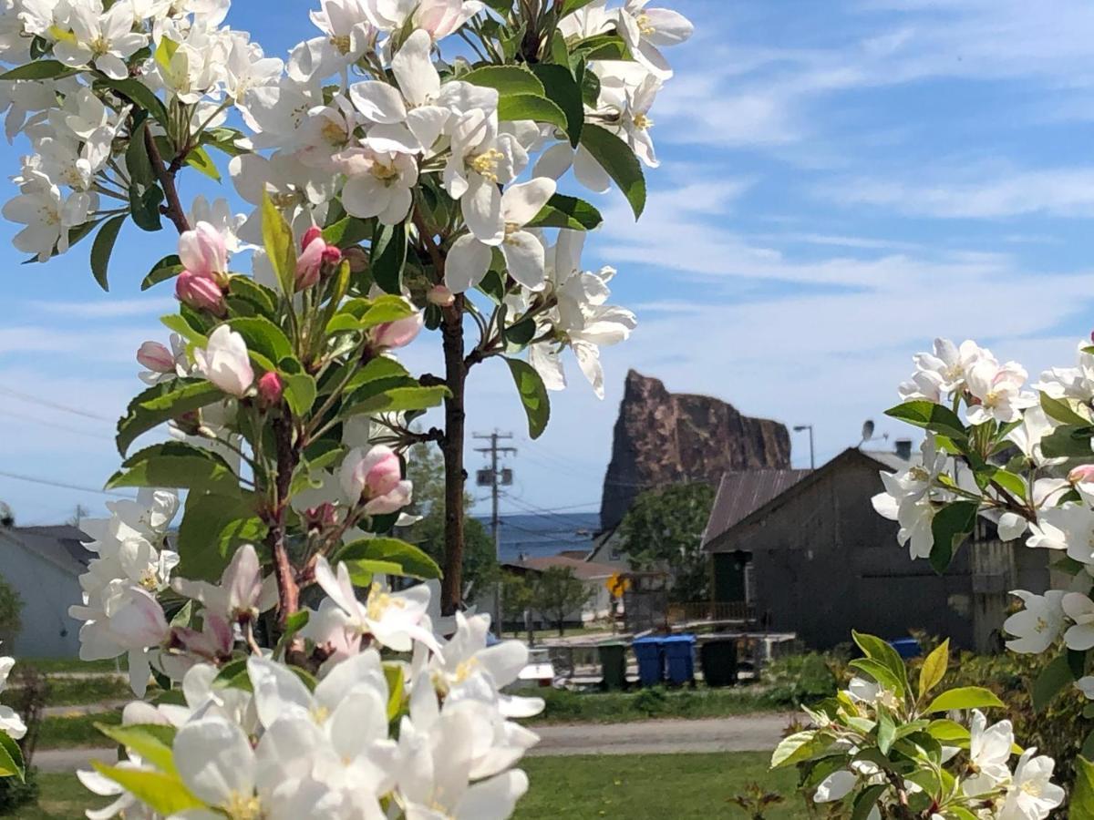Motel Le Repos Percé Exterior foto